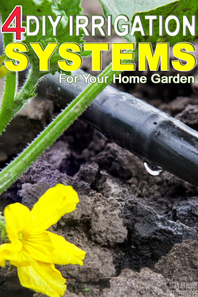 Learn four DIY irrigation systems you can use in your home garden that will save you time and money in your garden. Videos included.