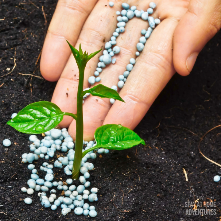 5 Ridiculous Simple Tips to Not Fail At Gardening (Get the free course!)