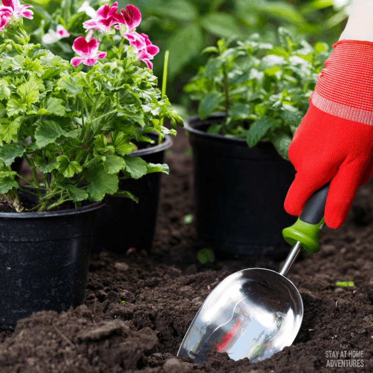 Gardening Tips to Save You Money