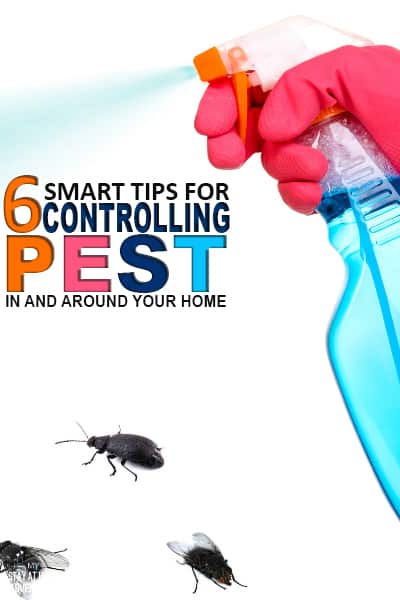 Pest control in homes is a reality many of us have to deal with. Learn six tips for controlling pest in and around your home.