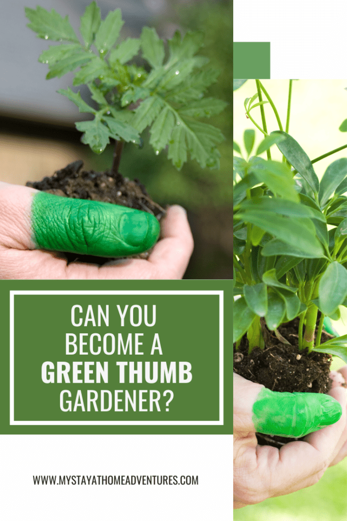 Two photos of someone holding seedlings with a thumb color green and text: Can You Become a Green Thumb gardener?