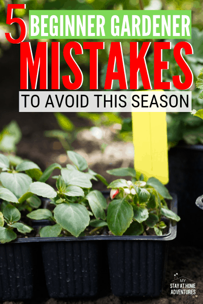 There are five first time gardener mistakes to avoid that we all do, and you can avoid. Learn what they are and what to do this gardening season instead. via @mystayathome