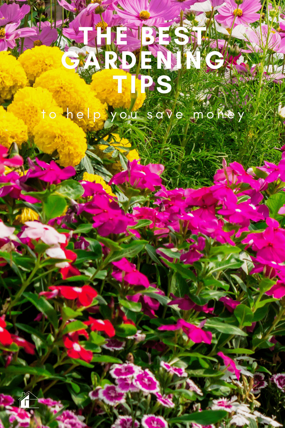 Are you overspending money on your gardening this season? Learn five gardening tips to save money this season and future seasons. #Gardening #gardeningtips #savemoney #moneysavingtips via @mystayathome