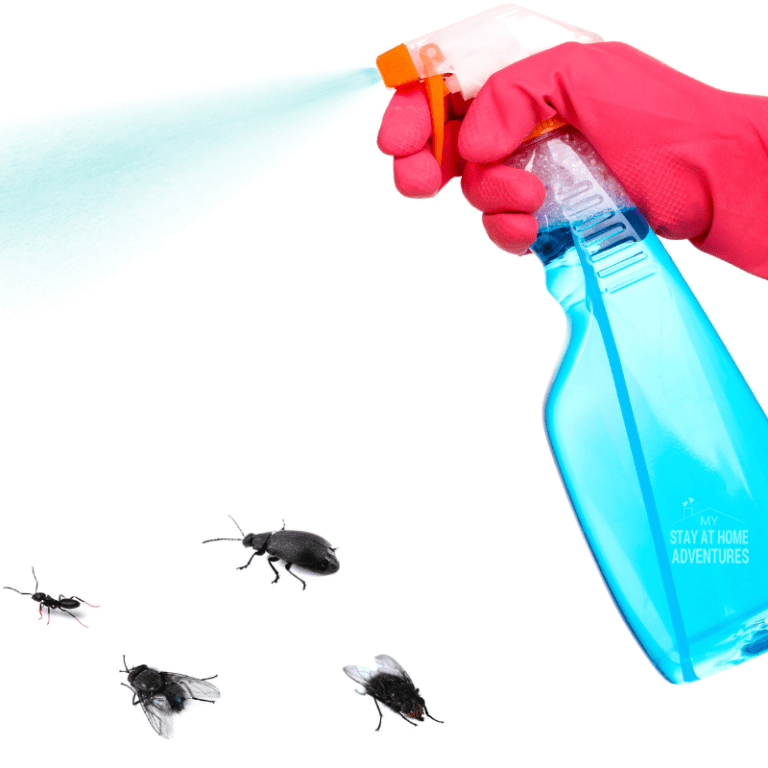 6 Tips for Controlling Pests in and Around Your Home