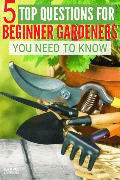 Learn what the five top questions for beginner gardeners are and why these questions are so crucial to start a garden. #gardentips #gardening #beginnergardening #garden #organicgarden via @mystayathome