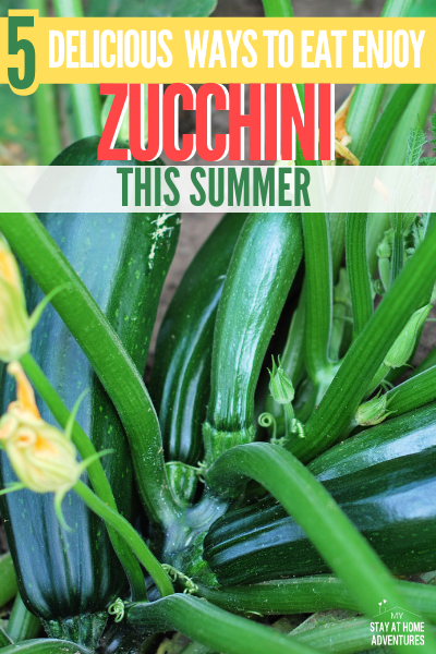 Growing zucchini this summer? Want to enjoy fresh zucchini? Learn five delicious ways to enjoy zucchini this summer and yes, a video included. via @mystayathome