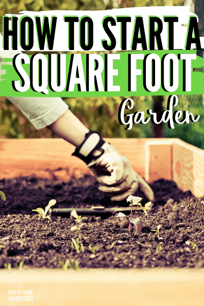 Female gloved hand preparing her square foot garden.