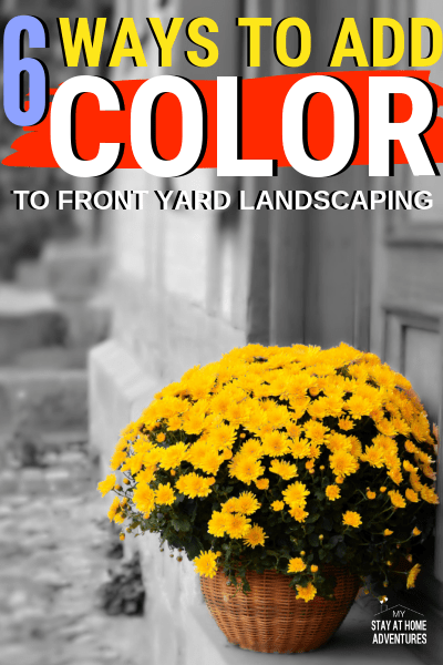 Learn how to add color to front yard landscaping that is affordable and realistic. These six landscaping tips will help you out all year long.