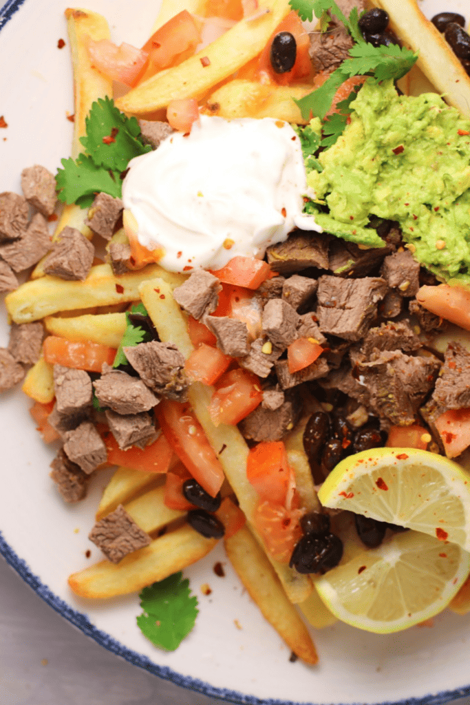 Close up of Carne Asada Fries