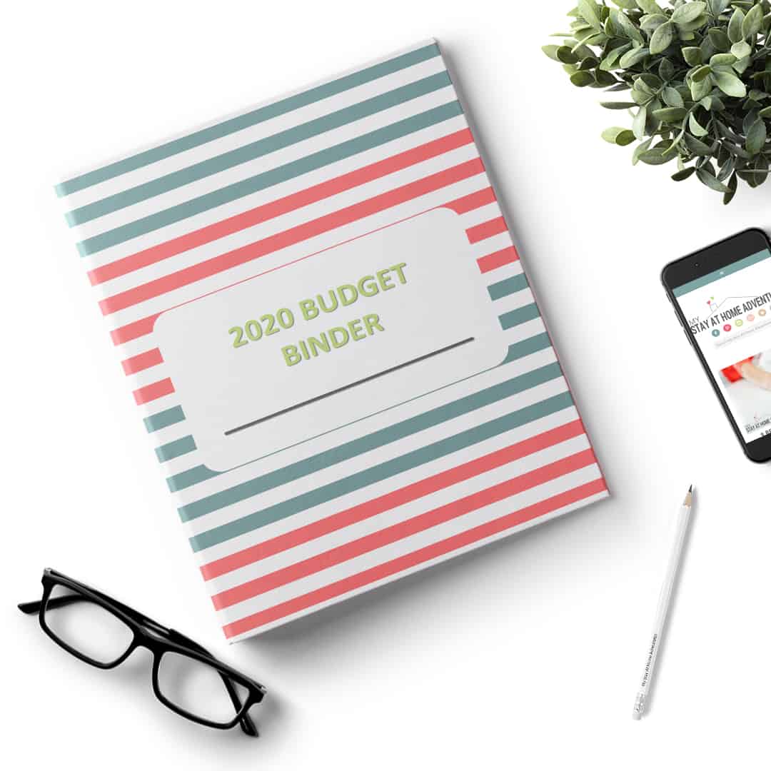 2020 budget binder store ad