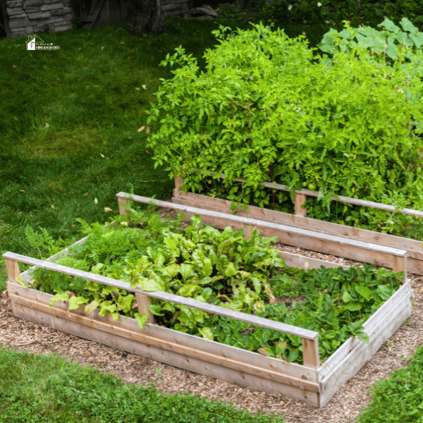 Raised Bed Vegetable