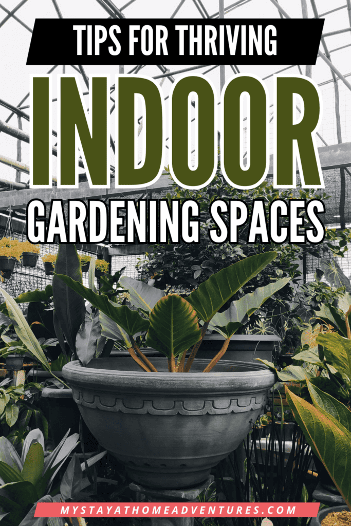 Indoor Garden with text: "Tips for Thriving Indoor Gardening Spaces"