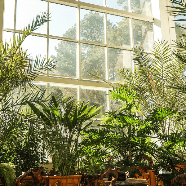 Green Plants in Botanical Garden Indoor