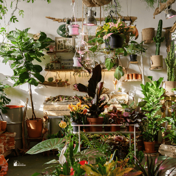 Indoor Garden