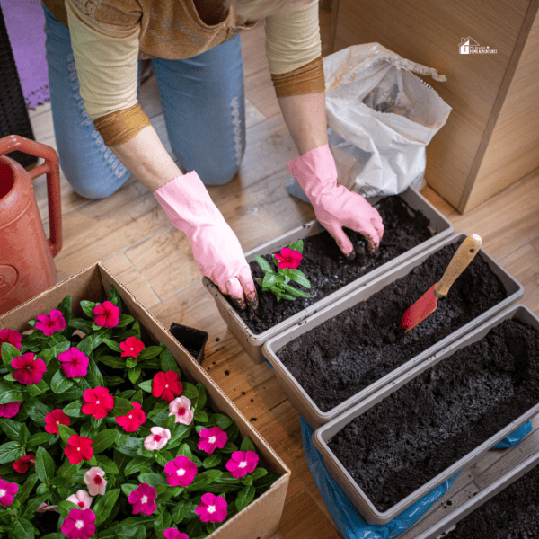 Some Indoor Gardening