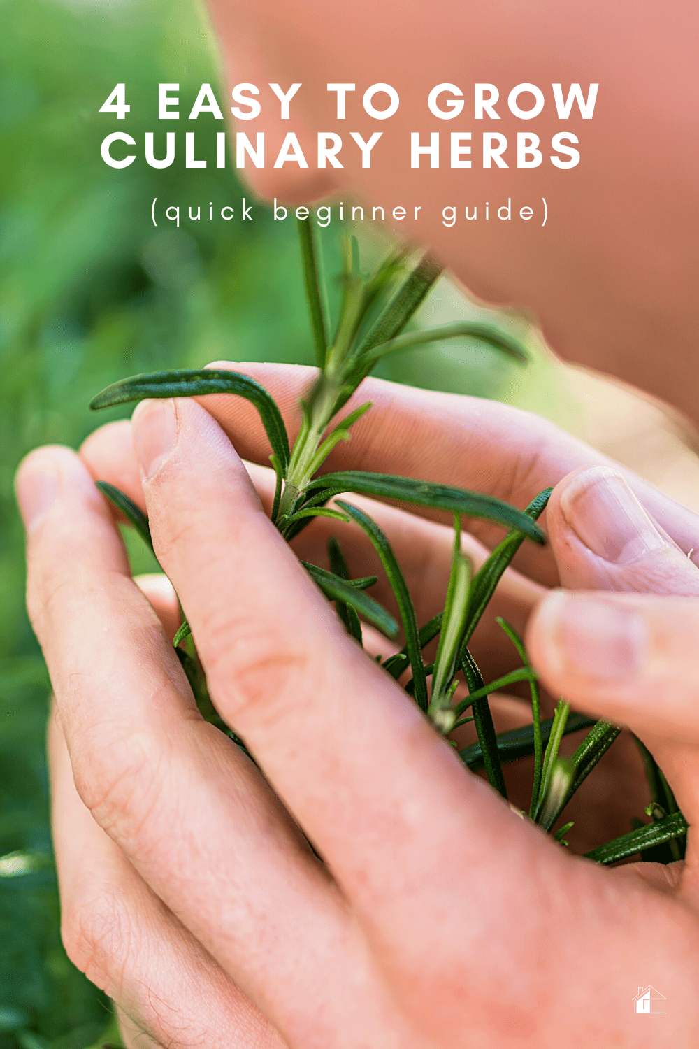Beginner gardener? Learn how to grow these four easy to grow and versatile herbs in your home. The best thing is that you can grow them indoor and save money. via @mystayathome