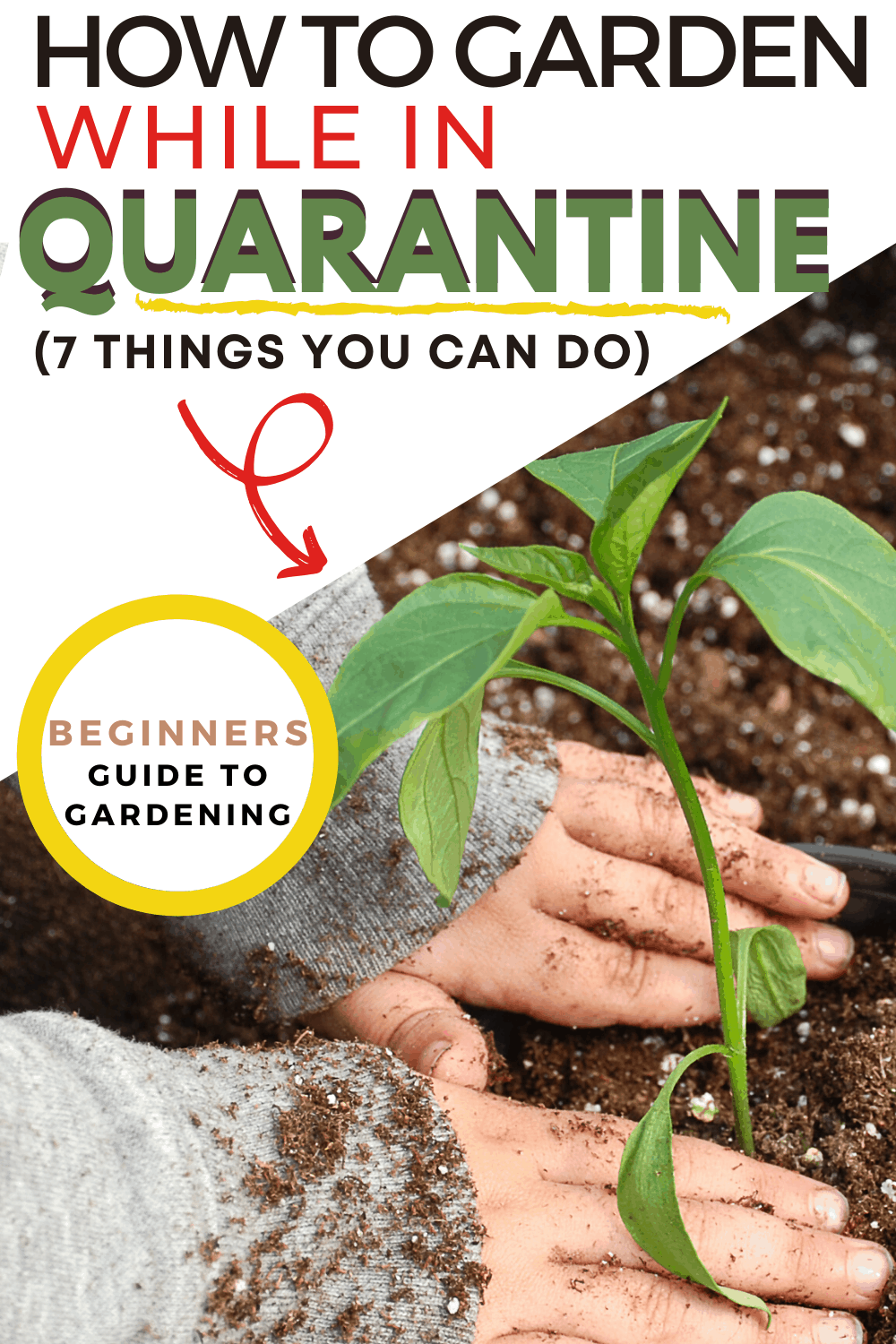 Gardening is not canceled. Gardening and quarantine go hand in hand and the best time to start gardening if you have been thinking about it. via @mystayathome