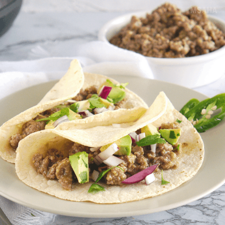 Salsa Verde Beef Filling