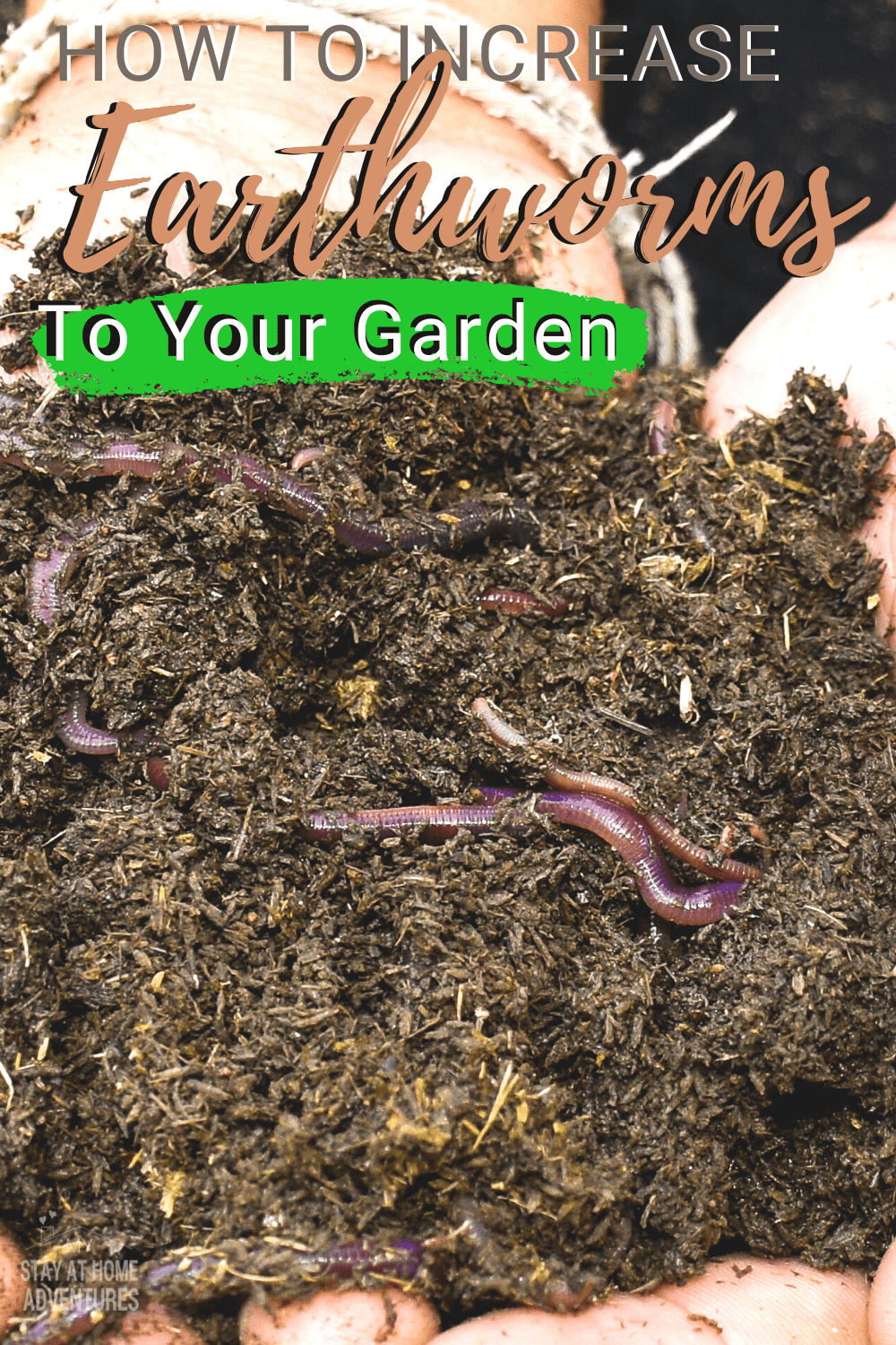 5 Ways to Attract More Earthworms to Your Garden