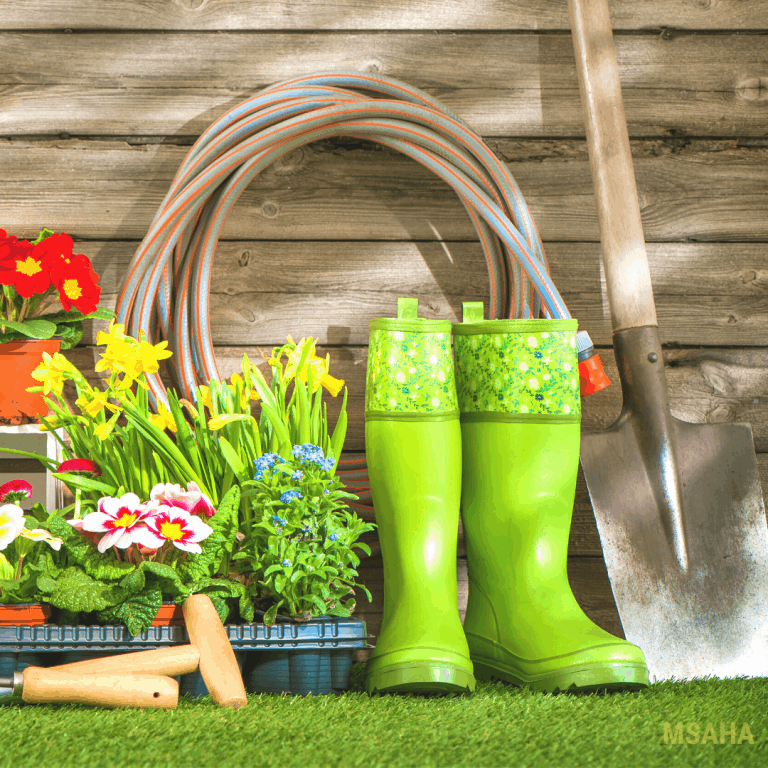 Gardening on a Budget: 12 Tips You Must Follow To Save Money