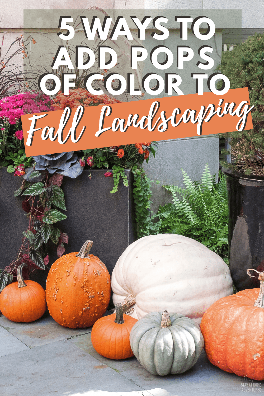 Can you landscape your yard in the fall? The answer is yes. Learn five fall landscaping ideas to help you get started and wow your neighbors. #fall #landscaping #frontyard via @mystayathome