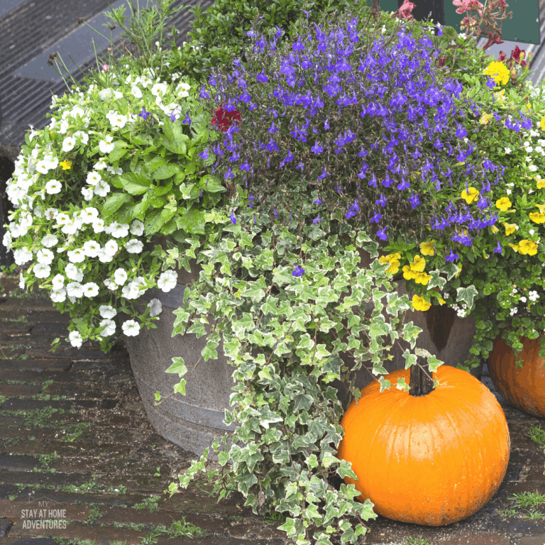 Fall Landscaping Ideas (To Wow Your Neighbors)