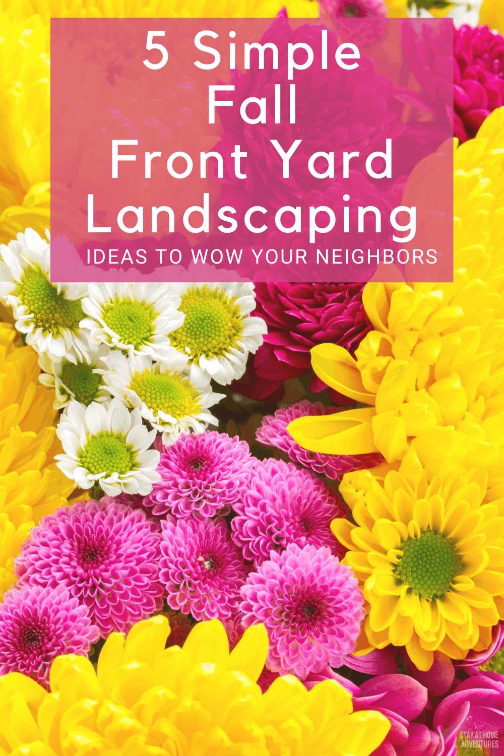 Can you landscape your yard in the fall? The answer is yes. Learn five fall landscaping ideas to help you get started and wow your neighbors. #fall #landscaping #frontyard via @mystayathome