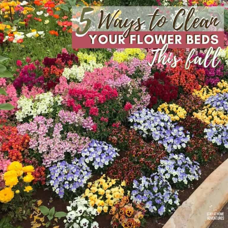 How to Clean Your Flower Beds This Fall