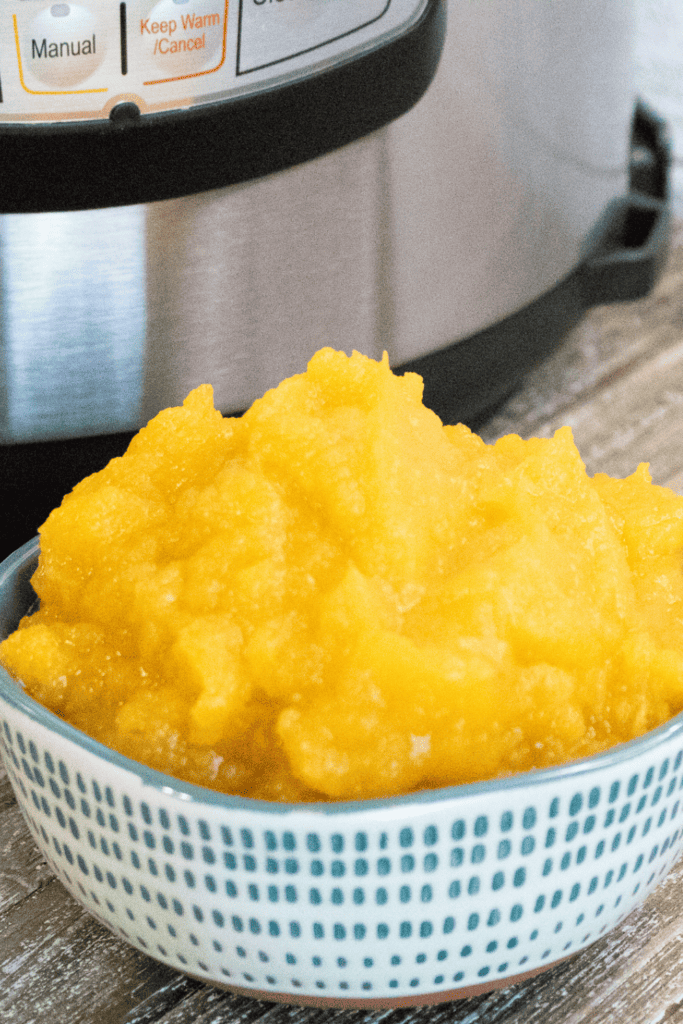 Served pumpkin puree with an instant pot in the background