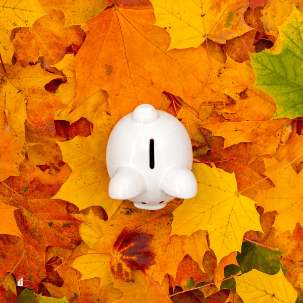 White piggy bank on top of fall leaves.