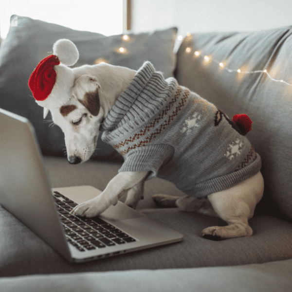 A small dog wearing a Christmas sweater and Santa hat sits on a couch, using a laptop, humorously symbolizing online holiday shopping or budgeting for Christmas.