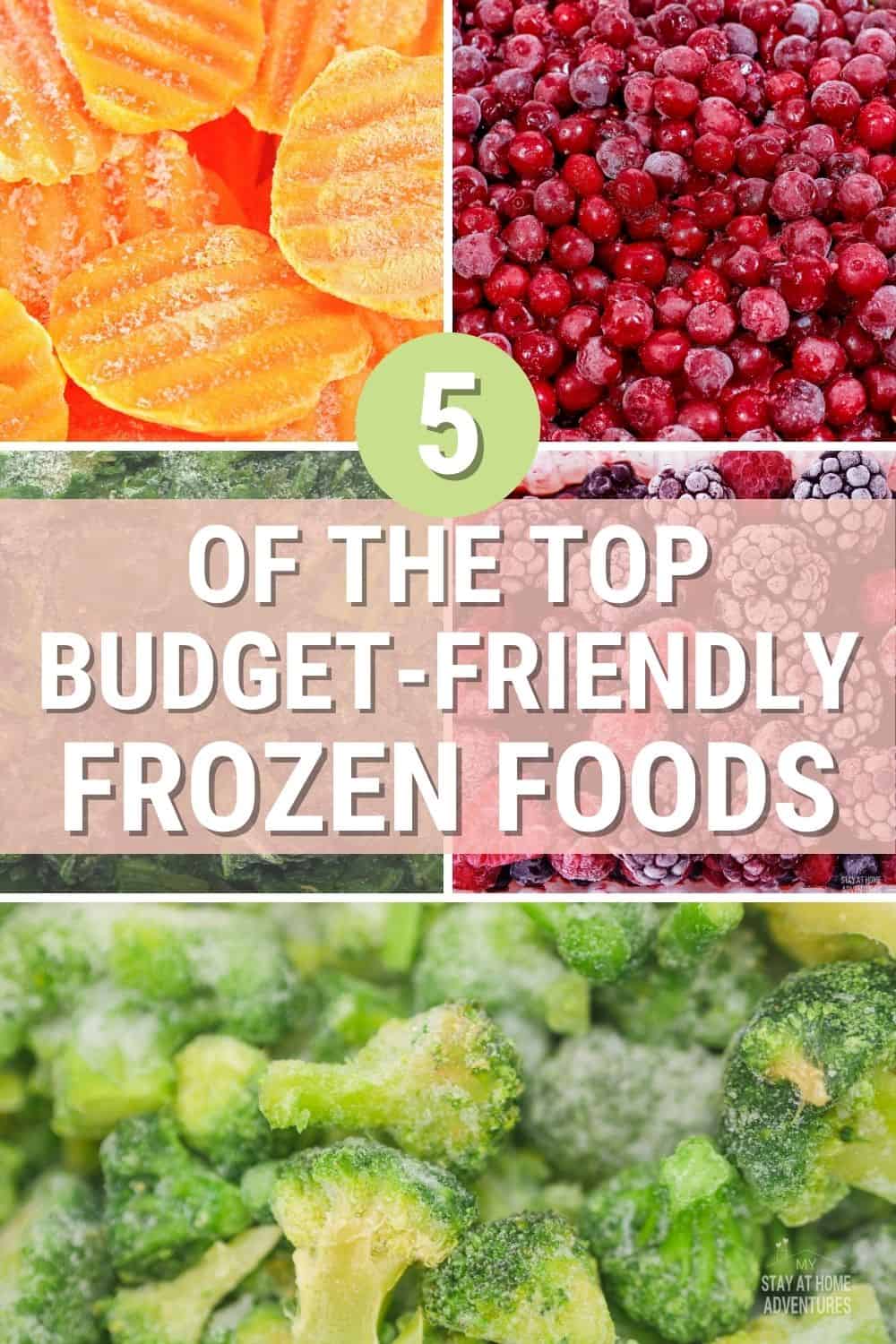 When buying frozen food, which one is good for you and your family and the budget-friendly one? Learn the top 5 best frozen foods. via @mystayathome