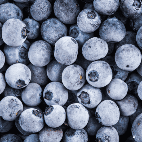Close up of frozen blueberries
