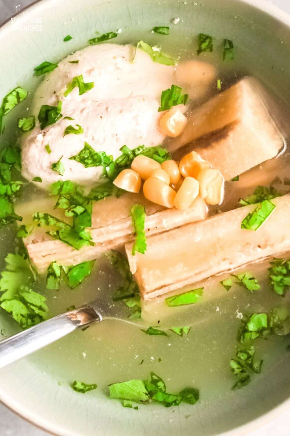 Learn how to make easy sopas de pollo y platanos (plantain and chicken soup) and learn why this dish is so loved by many. via @mystayathome
