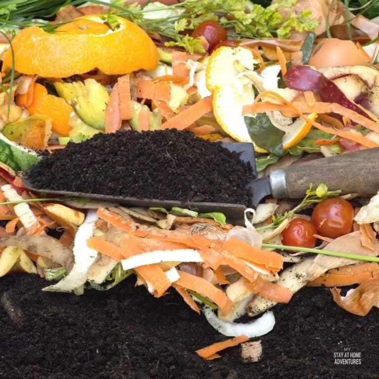 DIY Garden Soil (A Beginner's Guide to Making Garden Soil)