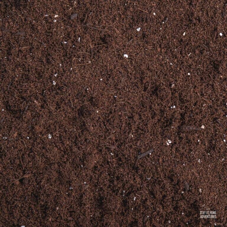 DIY Garden Soil (A Beginner's Guide to Making Garden Soil)