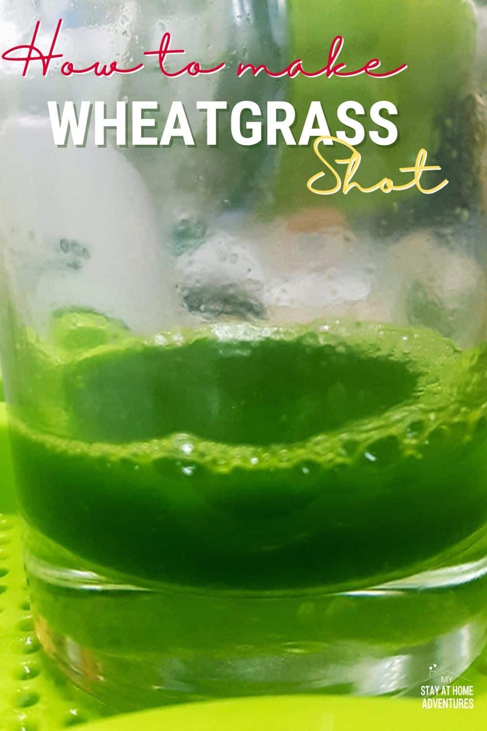 Growing wheatgrass is popular for its juice because of the health benefits from it. We’ll talk about How to Grow Wheatgrass in your Home, and a bit more. via @mystayathome