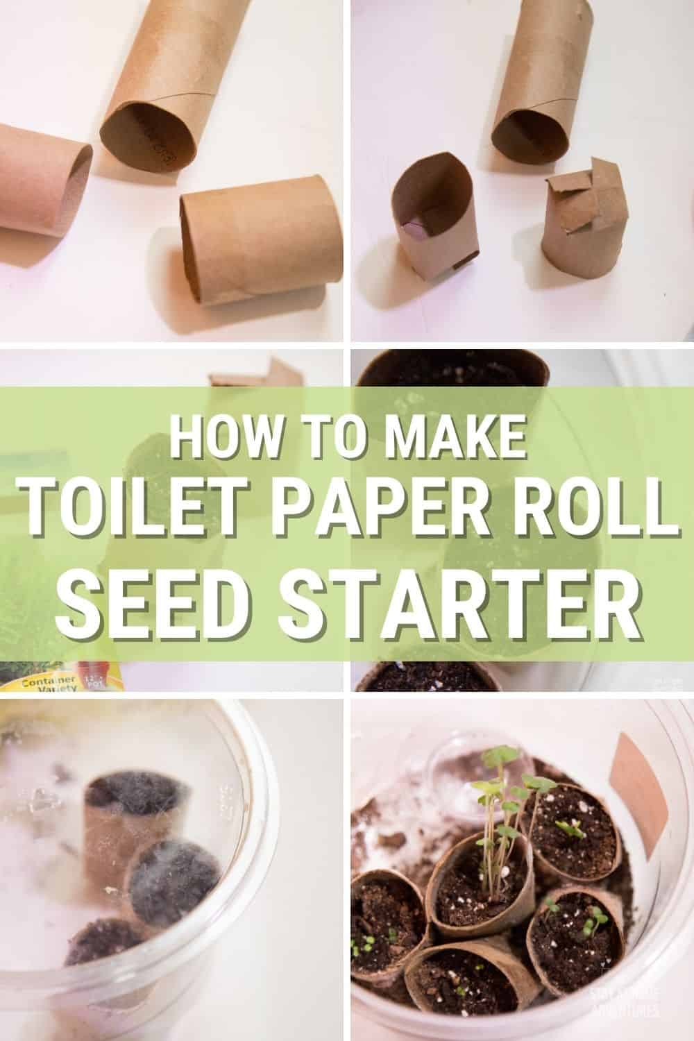 This toilet paper seed starter tutorial is all you need to seed starting indoor this season. Learn all you need to know and start growing your garden today. #gardening #seeding #toiletpaperseedstarter via @mystayathome