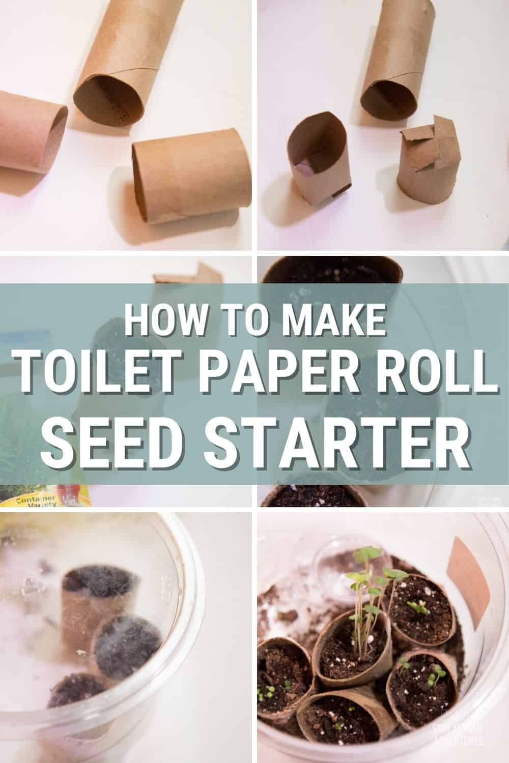 This toilet paper seed starter tutorial is all you need to seed starting indoor this season. Learn all you need to know and start growing your garden today. #gardening #seeding #toiletpaperseedstarter via @mystayathome