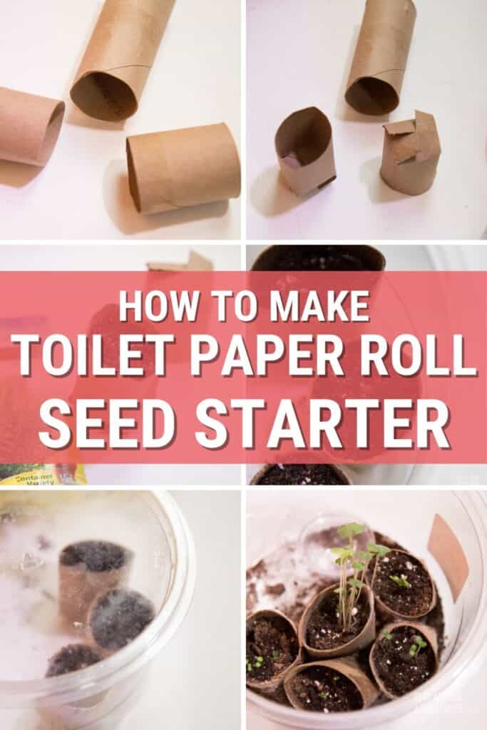 Making Seedling Pots From Cardboard Toilet Paper Rolls