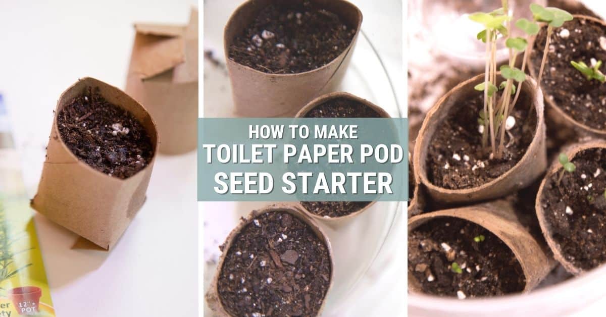 toilet paper and grass seed
