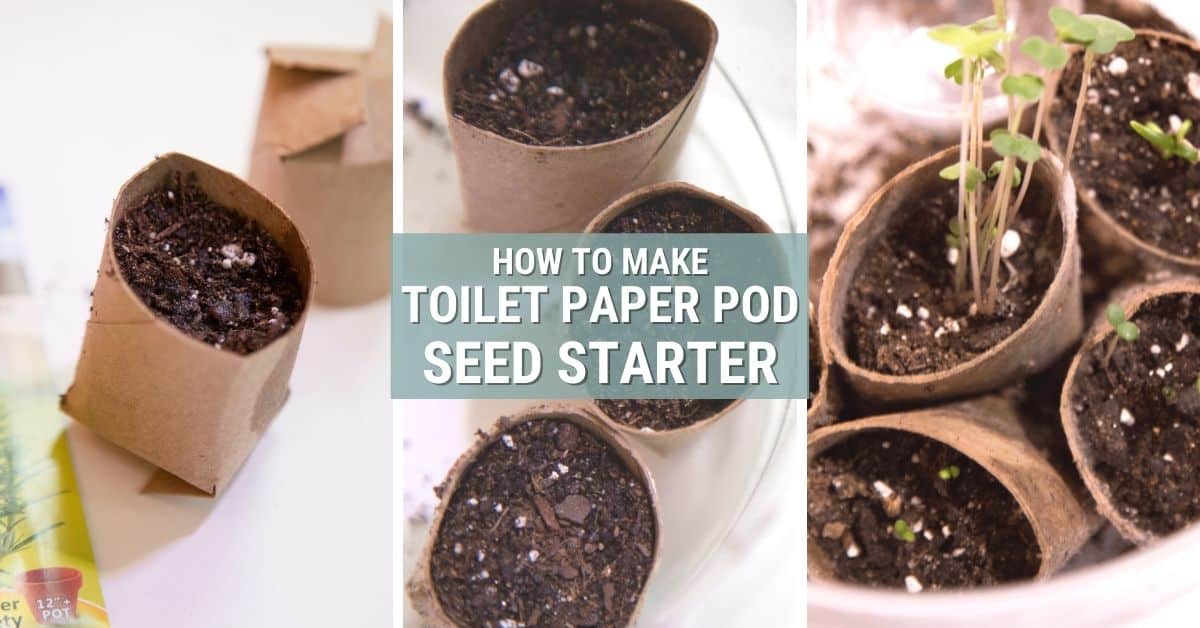 How to Use Empty Toilet Paper Rolls as Compostable Seed-Starters