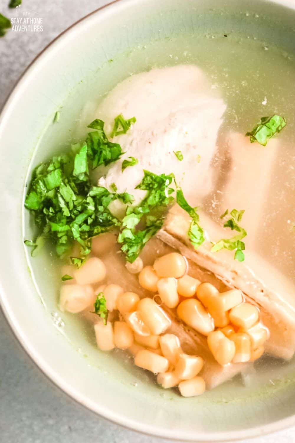 Learn how to make easy sopas de pollo y platanos (plantain and chicken soup) and learn why this dish is so loved by many. via @mystayathome