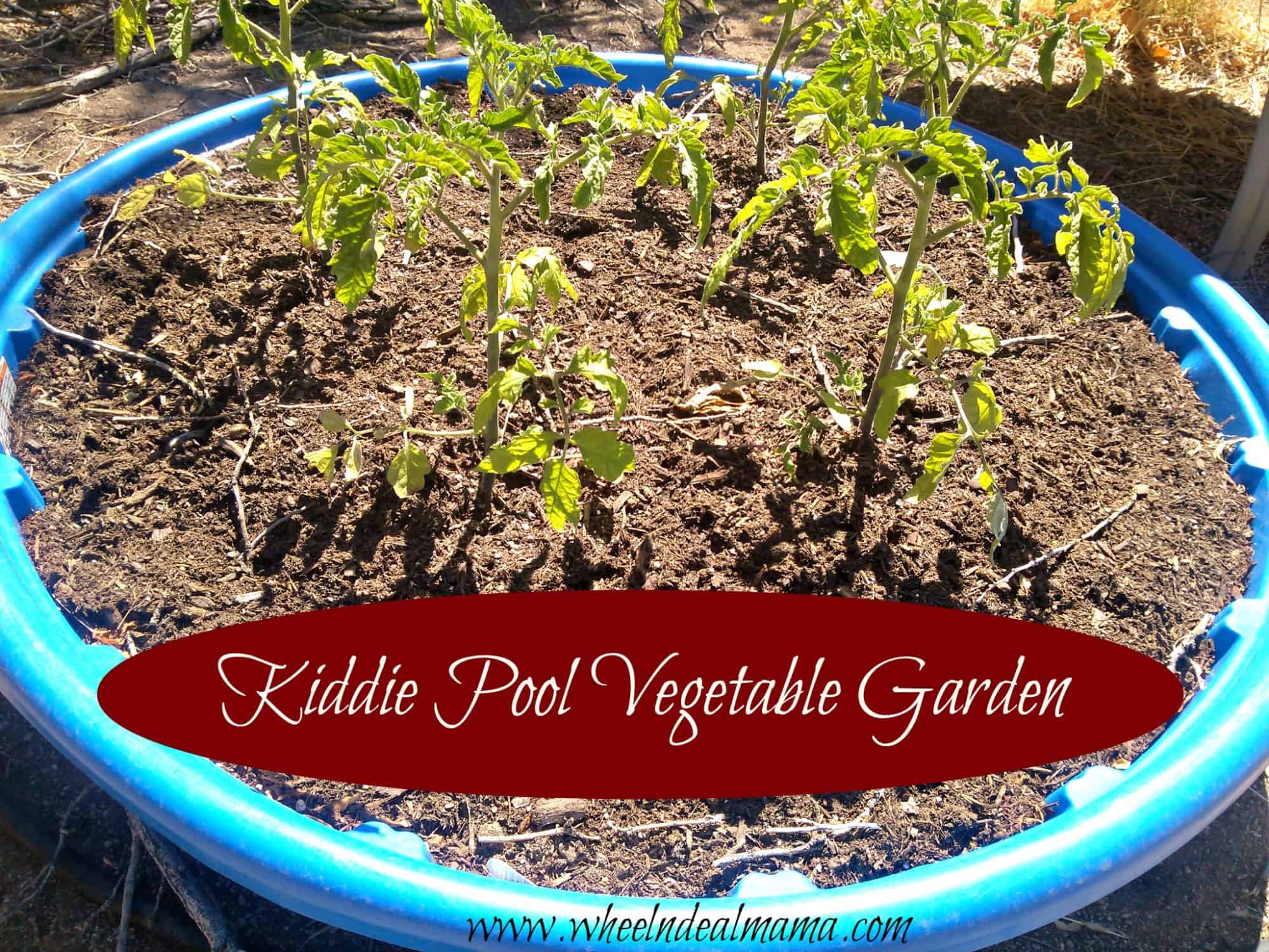 Creative Ways to Start a Garden Using Kiddie Pools