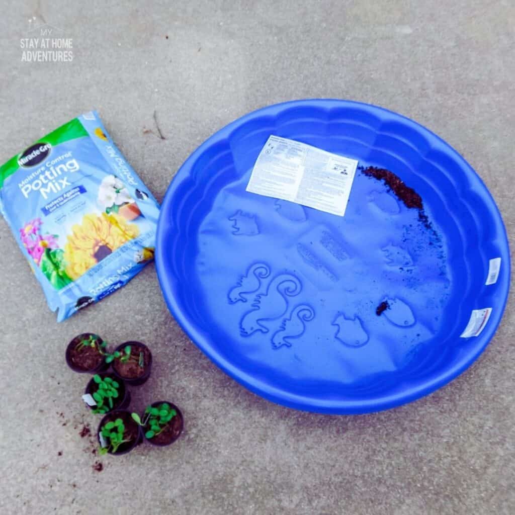 https://www.mystayathomeadventures.com/wp-content/uploads/2021/05/what-do-you-need-to-make-a-kiddie-pool-garden-1024x1024.jpg