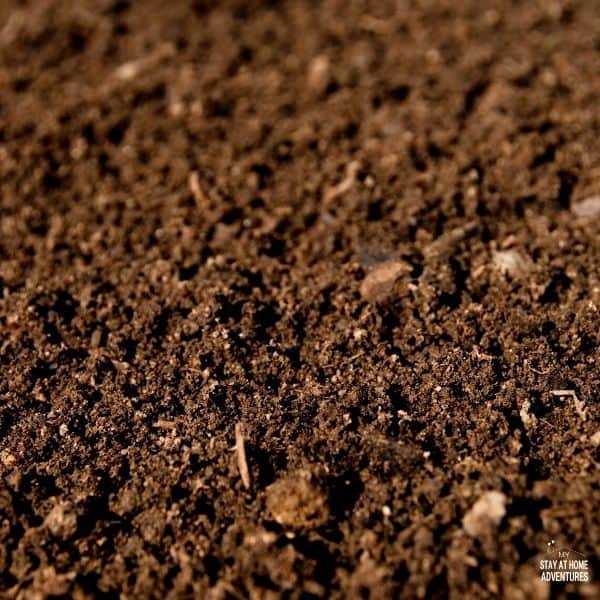 How to Maintain Garden Soil This Summer