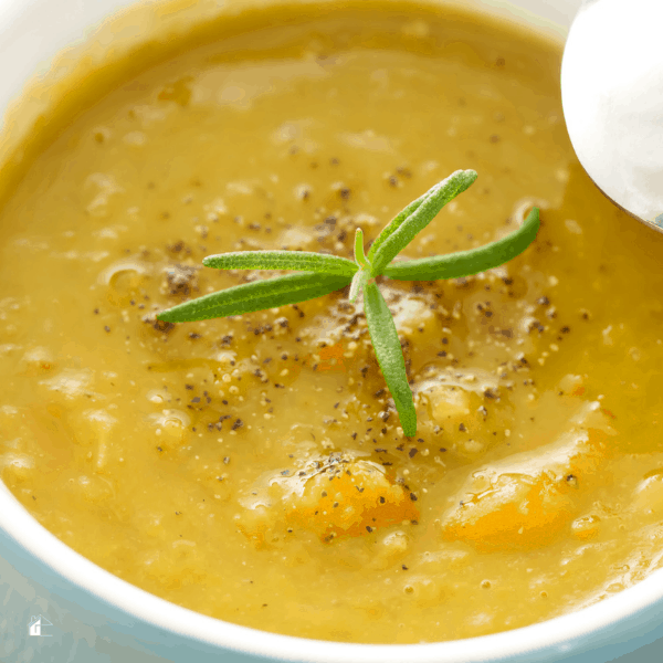 photo of lentil soup