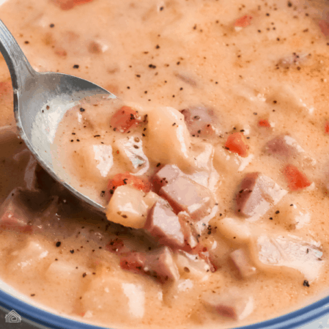 Easy Ham and Potato Soup for Lazy People!