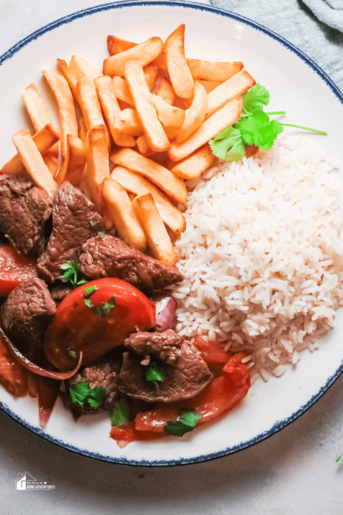 peruvian lomo saltado in a white plate, overview shot