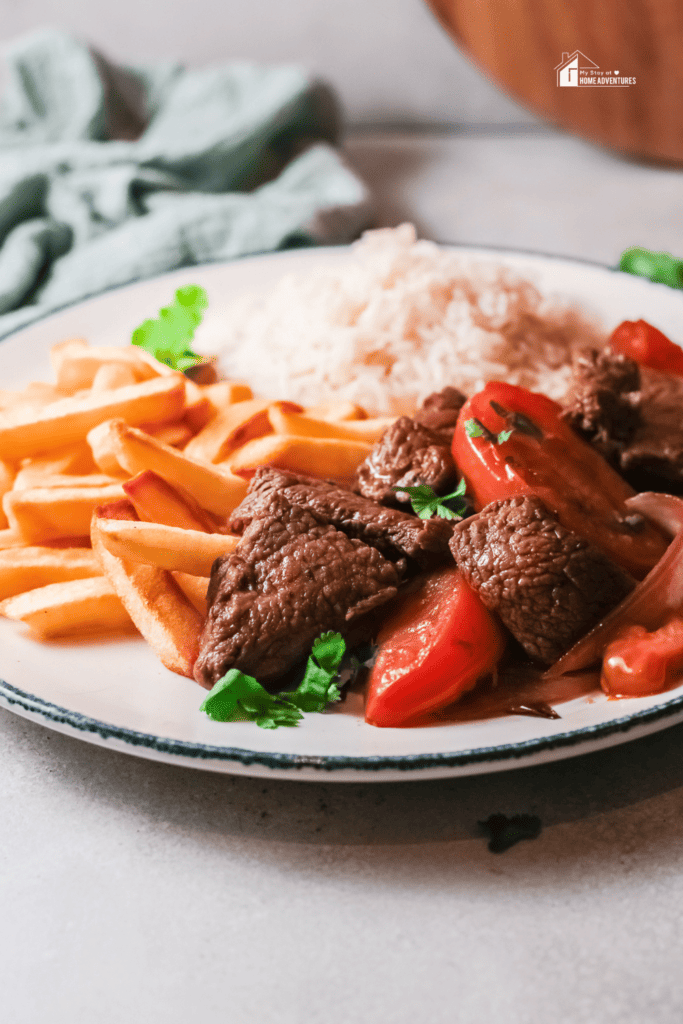 side view image of peruvian lomo saltado